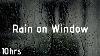 10 Hours Gentle Rain Sounds On Window Calm Rain Black Screen Rain For Sleep Study