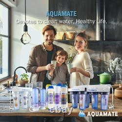 Filtre à eau pour lavage de voiture DI, rinçage à l'eau pure, nettoyage de voiture, nettoyage de vitres (4,2 L)